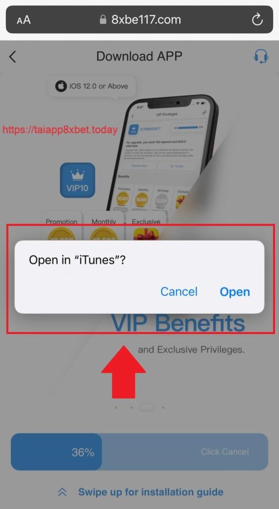 Hình ảnh của ứng dụng mở trong iTunes